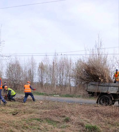 Весняне прибирання Житомира триває